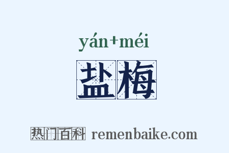 盐梅是什么意思的图片
